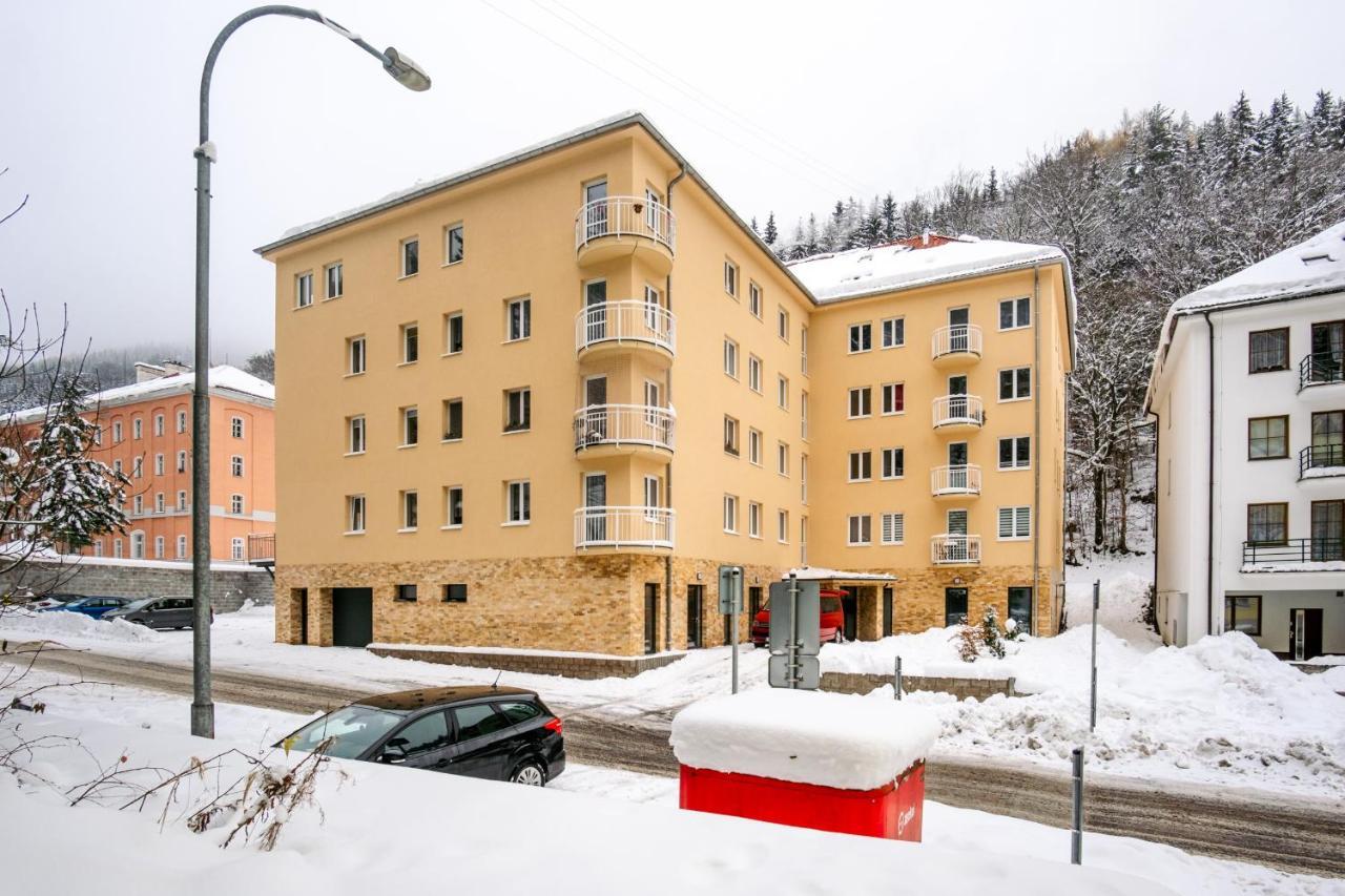 Boutique Apartment 23 - Rezidence K Lanovce Jáchymov Exterior foto