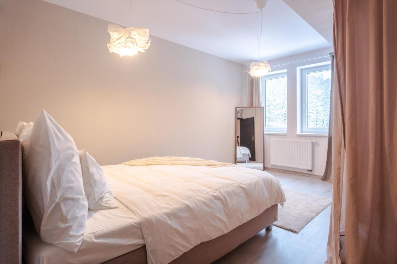 Boutique Apartment 23 - Rezidence K Lanovce Jáchymov Exterior foto